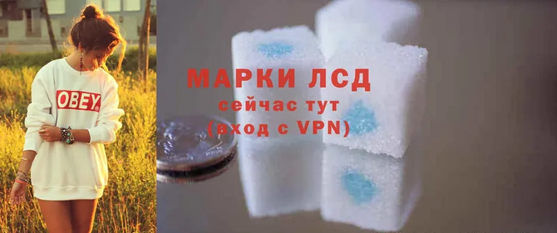 Купить наркотики Арсеньев Cocaine  МАРИХУАНА  Меф  MEGA ONION  ГАШ  Псилоцибиновые грибы 